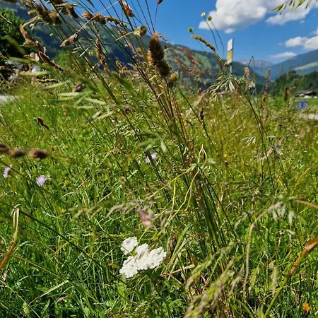 Johanna Prázdninový dům Ramsau im Zillertal